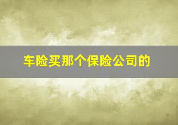 车险买那个保险公司的