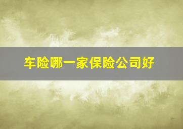 车险哪一家保险公司好