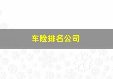 车险排名公司