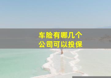 车险有哪几个公司可以投保