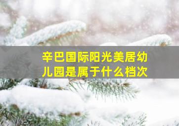 辛巴国际阳光美居幼儿园是属于什么档次