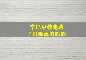 辛巴早教跑路了吗是真的吗吗