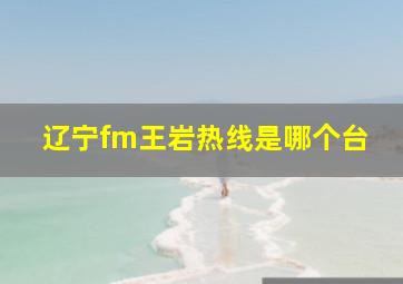 辽宁fm王岩热线是哪个台