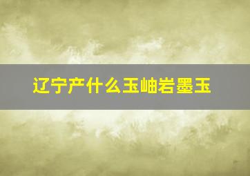 辽宁产什么玉岫岩墨玉