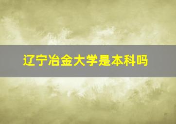 辽宁冶金大学是本科吗