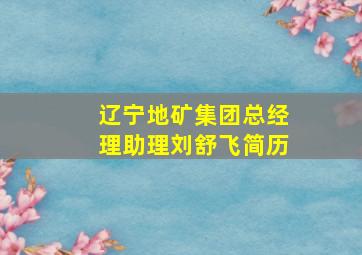 辽宁地矿集团总经理助理刘舒飞简历