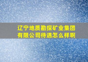 辽宁地质勘探矿业集团有限公司待遇怎么样啊