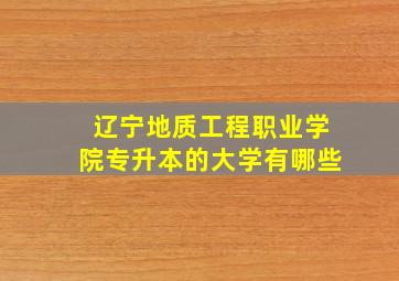 辽宁地质工程职业学院专升本的大学有哪些