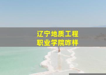 辽宁地质工程职业学院咋样