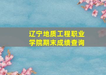 辽宁地质工程职业学院期末成绩查询