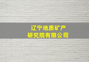 辽宁地质矿产研究院有限公司