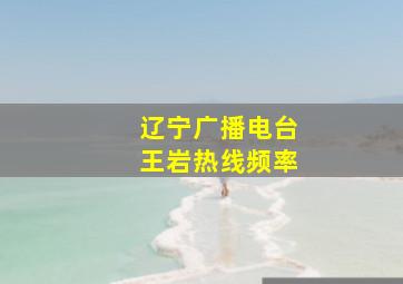 辽宁广播电台王岩热线频率