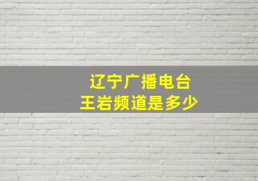 辽宁广播电台王岩频道是多少