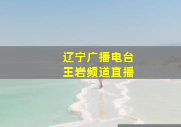 辽宁广播电台王岩频道直播