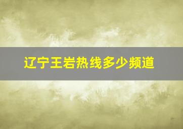 辽宁王岩热线多少频道