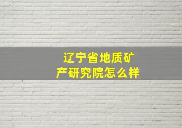 辽宁省地质矿产研究院怎么样