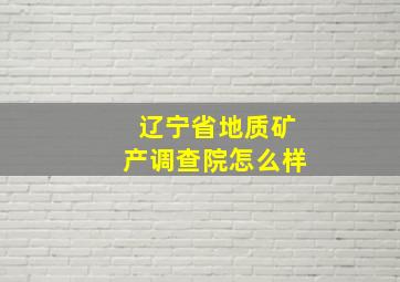 辽宁省地质矿产调查院怎么样