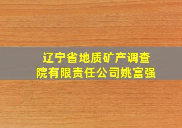 辽宁省地质矿产调查院有限责任公司姚富强