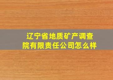 辽宁省地质矿产调查院有限责任公司怎么样