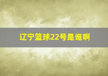 辽宁篮球22号是谁啊