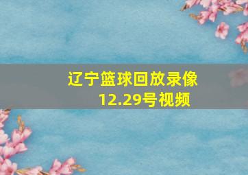 辽宁篮球回放录像12.29号视频