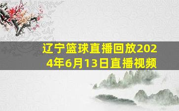 辽宁篮球直播回放2024年6月13日直播视频