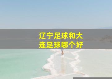 辽宁足球和大连足球哪个好