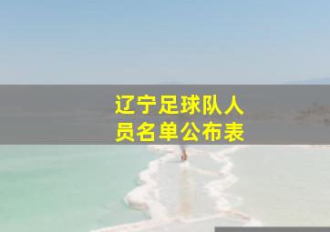 辽宁足球队人员名单公布表