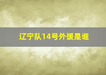 辽宁队14号外援是谁