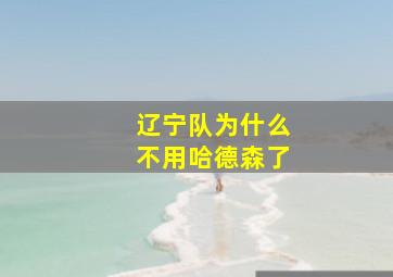 辽宁队为什么不用哈德森了