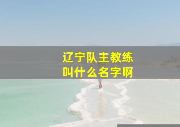 辽宁队主教练叫什么名字啊