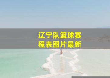 辽宁队篮球赛程表图片最新