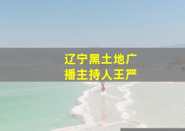 辽宁黑土地广播主持人王严