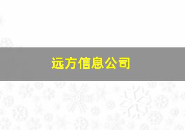 远方信息公司