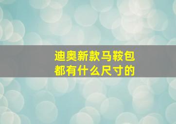 迪奥新款马鞍包都有什么尺寸的