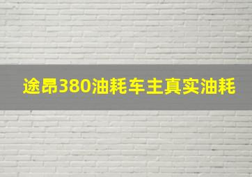 途昂380油耗车主真实油耗