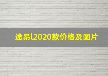 途昂l2020款价格及图片