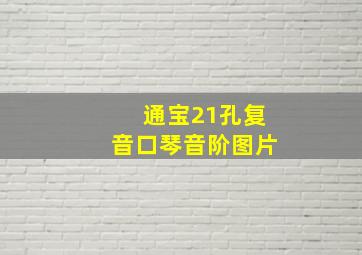 通宝21孔复音口琴音阶图片