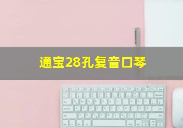 通宝28孔复音口琴