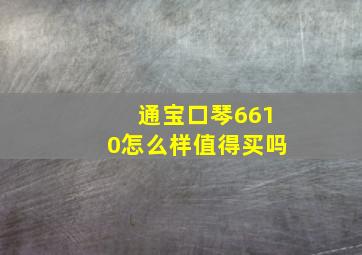 通宝口琴6610怎么样值得买吗