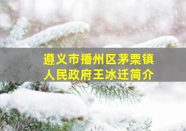 遵义市播州区茅栗镇人民政府王冰迁简介