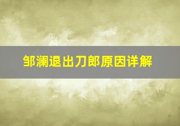 邹澜退出刀郎原因详解