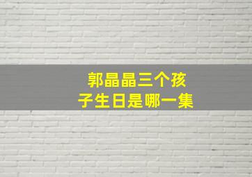 郭晶晶三个孩子生日是哪一集