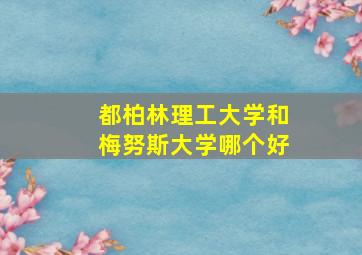 都柏林理工大学和梅努斯大学哪个好