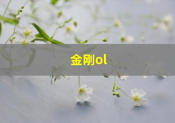 金刚ol