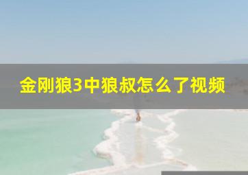 金刚狼3中狼叔怎么了视频