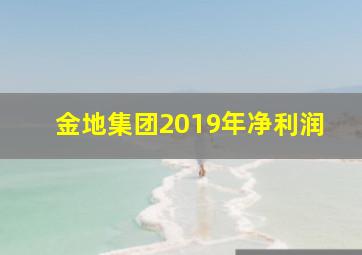 金地集团2019年净利润