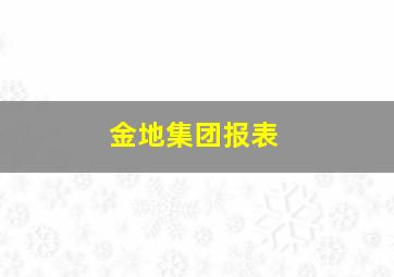 金地集团报表