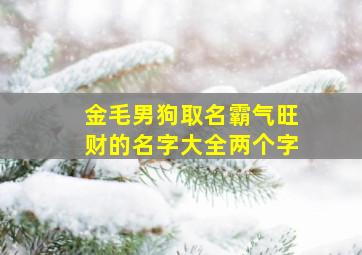 金毛男狗取名霸气旺财的名字大全两个字