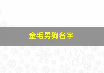 金毛男狗名字